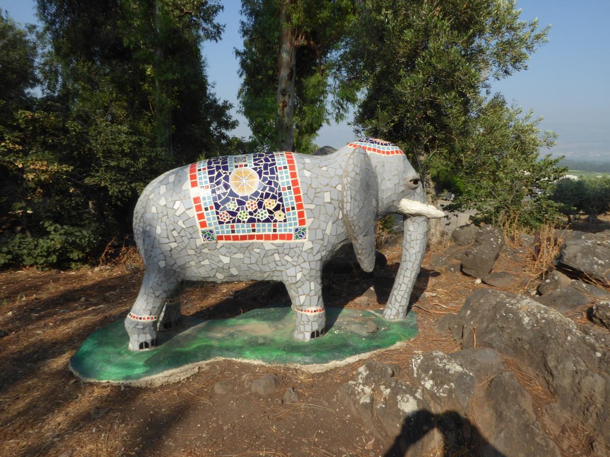 "Bakfar" Kfar Szold Country Lodging Βίλα Kefar Szold Εξωτερικό φωτογραφία